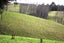 118 Old Port Road, Warepa - Carousel 15