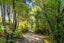542 Moetapu Bay Road, Moetapu Bay, Picton - Carousel 42