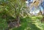 14 Martin Road, Fairfield, Dunedin - Carousel 18