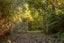 115 Wainui Valley Road, Wainui, French Farm - Carousel 7