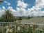 7 Highgate, Rototuna, Hamilton - Carousel 3