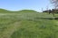 788 Lincoln Road, Everett Park, Inglewood - Carousel 7