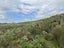 872 Bickerstaffe Road, Maungaturoto - Carousel 14