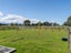 13 Wards Line, Morison Bush, Greytown - Carousel 16