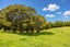 47 Witheford Road, Wharehine, Wellsford - Carousel 9