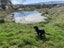 0 Littles Road, Dalefield, Queenstown - Carousel 24