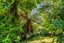 199 Taharepa Road, Tauhara, Taupo - Carousel 7