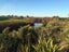 33 Awatea Road, Whatawhata - Carousel 18