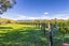 1114 Omihi Road, Omihi, Amberley - Carousel 32