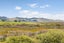 724C Island Block Road, Island Block, Te Kauwhata - Carousel 32