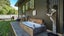 166 Okuti Valley Road, Okuti Valley, Little River - Carousel 13