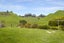 1901 Tutukau Road, Ohakuri, Reporoa - Carousel 19