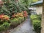 13 Advance Way, Albany, Auckland - Carousel 21