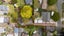 4 Sargeson Place, Leamington, Cambridge - Carousel 20