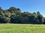 0 South Terrace Road, Karamea, Karamea - Carousel 21