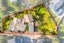 80 Webster Avenue, Mount Roskill, Auckland - Carousel 40