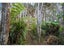 27B Cavalli View Road, Kaeo, Kerikeri - Carousel 37