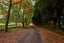 221 Hamurana Road, Rotorua - Carousel 35
