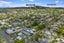 33 Massey Avenue, Greenlane, Auckland - Carousel 23
