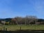 1346 Pleasant Point-Cave Highway, Cave - Carousel 16