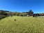 238 Whitecliffs Road, Whitecliffs, Glentunnel - Carousel 13