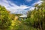 10 Seymour Road, Sunnyvale, Auckland - Carousel 21