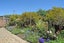 8/24 Ottawa Road, Ngaio, Wellington - Carousel 5