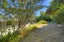 12 Tui Glen Road, Atawhai, Nelson - Carousel 6