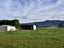 56 Watersons Line, Dalefield - Carousel 3