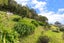 7 Westra View, Tawa, Wellington - Carousel 11