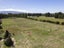 78 Blackman Road, Blackmans, Alexandra - Carousel 17