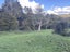 0 Horeke Road, Horeke, Okaihau - Carousel 2