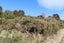 0 Charming Creek Road, Seddonville, Westport - Carousel 6