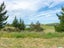 85 TYNTESFIELD RD, MARLBOROUGH - Carousel 26