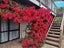 5 Amelia Crescent, Waikawa, Picton - Carousel 9