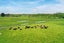 64 Rosewill Valley Road, Washdyke Flat - Carousel 23