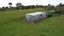 72 Havill Drive, Awatuna, Hokitika - Carousel 26