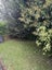 3/103A Old Mill Road, Westmere, Auckland - Carousel 16