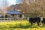 1193 Kaituna-Tuamarina Road, Blenheim - Carousel 21