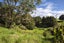 1933 Mangakahia Road, Titoki, Whangarei - Carousel 14
