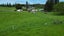 896 Taringamotu Road, Taumarunui - Carousel 1