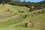 299 Peria Road, Peria, Kaitaia - Carousel 12