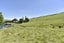 455 Mcraes Road, Scargill, Amberley - Carousel 20