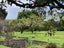 89 Taylor Road, Mangere Bridge, Auckland - Carousel 18
