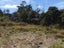 387 Paremoremo Road, Paremoremo, Auckland - Carousel 5