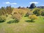 233 Waipapa Block Road, Whakamarama, Western Bay Of Plenty, Bay Of Plenty - Carousel 38