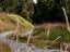 92B Lake Kaniere Road, Blue Spur, Hokitika - Carousel 9