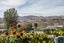 54 Stratford Drive, Mount Pisa, Cromwell - Carousel 33