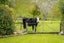 630 Upper Plain Road, Upper Plain, Masterton - Carousel 21