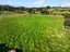 259 Mairetahi Road, South Head, Helensville - Carousel 30
